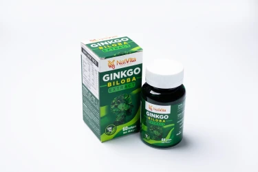 NATVITA GINKOBILOBA 60 CAPS