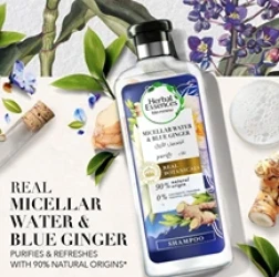 هيربال اسنس شامبوماءمسلار زنجبيل أزرق400